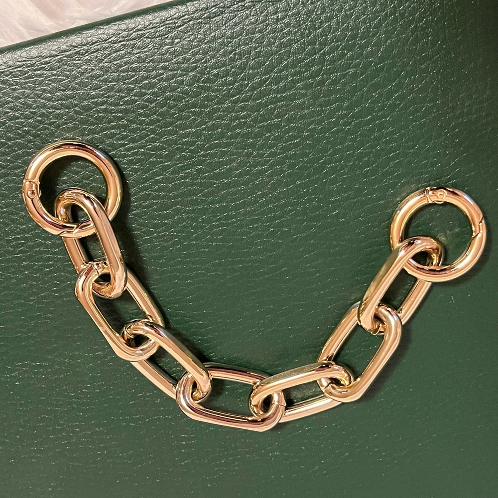Gold Chain strap replacement or add on accessories